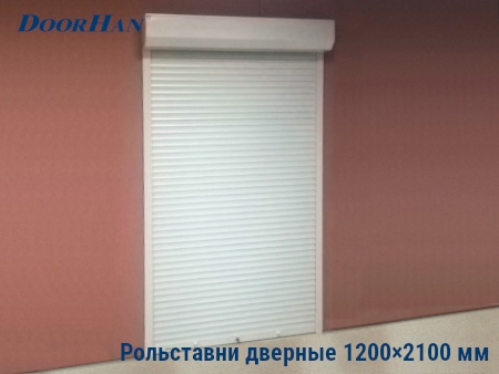 Рольставни на двери 1200×2100 мм в Сочи от 30959 руб.